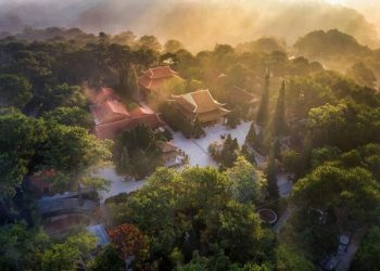 Sống chậm ở Đà Lạt